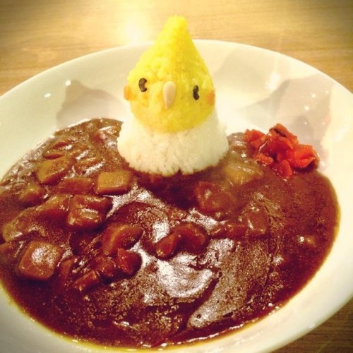 出張いんこKITCHEN inことりカフェ吉祥寺