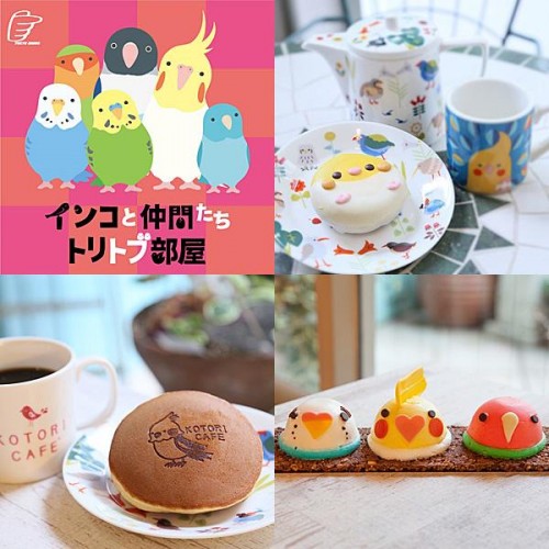 東急ハンズ池袋「インコと仲間たち~トリトブ部屋~」に出展いたします。