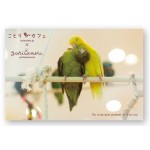 ことりカフェ吉祥寺　開店1周年記念【第二弾】