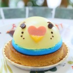 夏休みイベント第3弾は「セキセイインコマルシェ」開催！