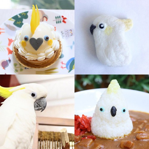 シルバーウィークに、「インコ&オウムウィーク」開催!