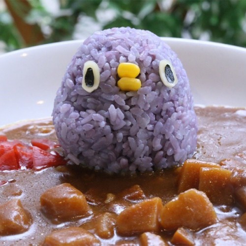 5月の出張いんこKITCHEN in ことりカフェ吉祥寺