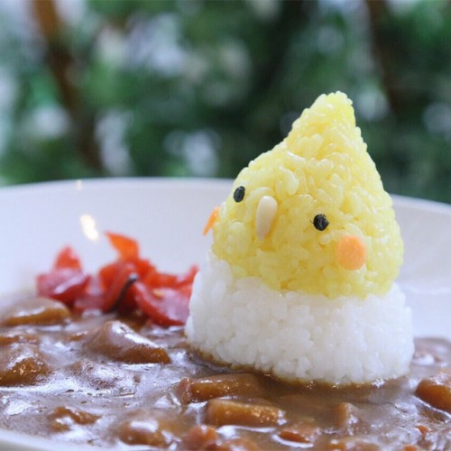 9月の出張いんこKITCHEN in ことりカフェ吉祥寺