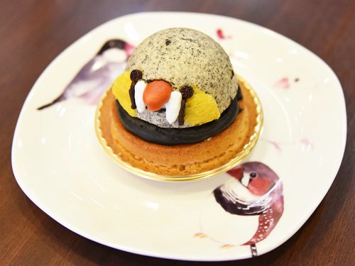 ことりカフェ巣鴨OPEN1ヶ月キャンペーン!