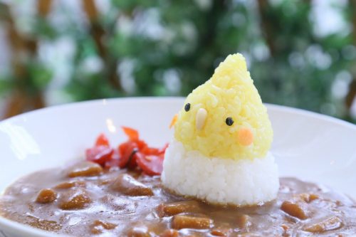 5月の出張いんこKITCHEN in ことりカフェ吉祥寺