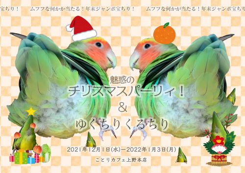 年末年始はことりカフェへ!「ちりー・チリスマース!」&「ゆくちりくるちり」