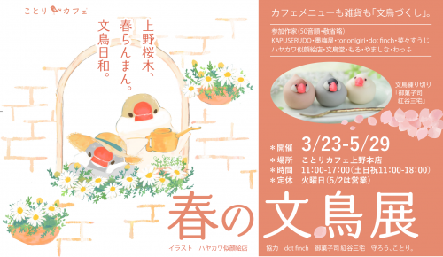 春の文鳥展 in ことりカフェ上野本店